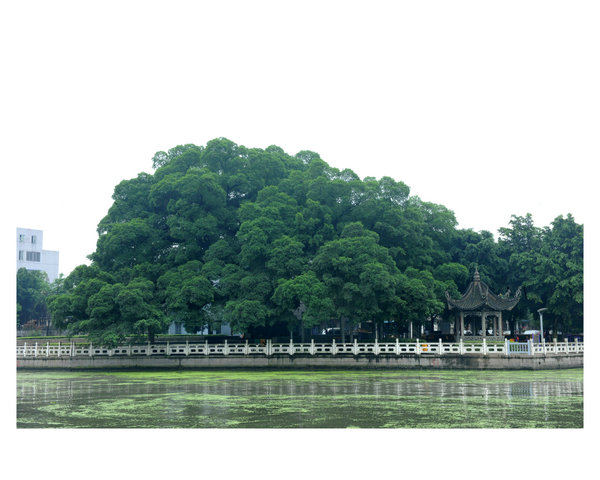 �䰸�Ř�,�Ɍٵر��o