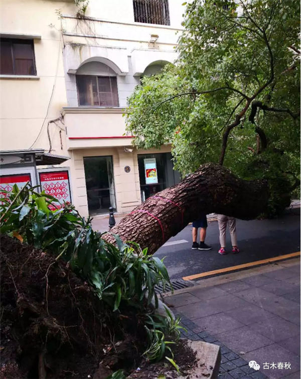 �_�L�^����������ľ����ָ��