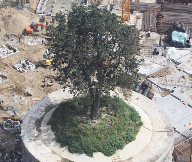 �ǰ˅^(q��)�Ř���ľ4�f���걱��λ��ȫ����һ